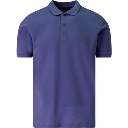 The BLUEPRINT Premium Polo Heren Blauw