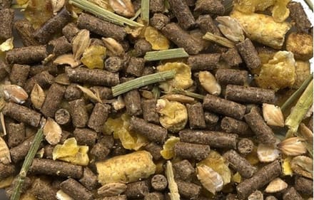 Van Gorp Schapen en geitenmuesli 20KG