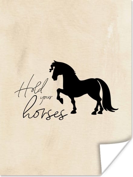 Poster Paarden - Quotes - Hold your horses - Spreuken - 60x80 cm