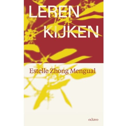 Leren Kijken - Estelle Zhong Mengual