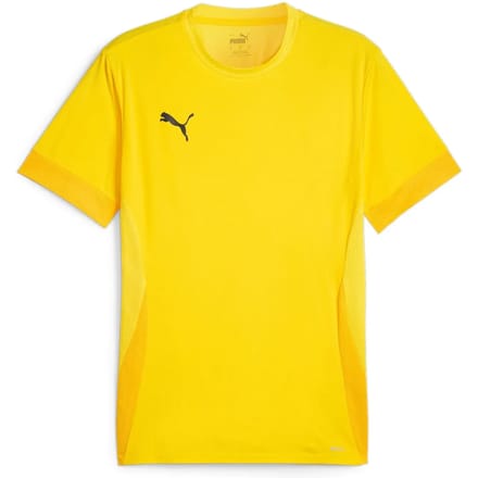Jersey Puma TeamGoal