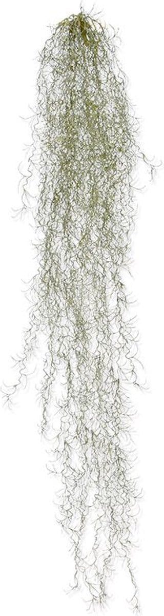 Tillandsia kunsthanger deluxe 120cm