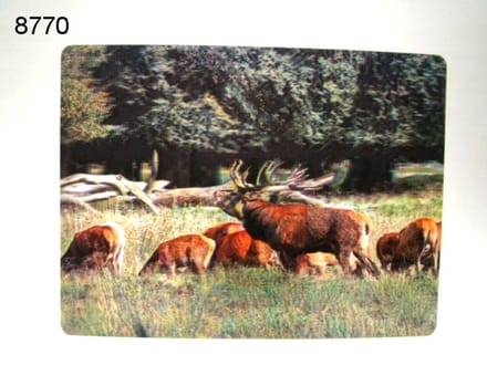 3D Placemat - Edelherten in het Bos - 29,5 x 39,5 cm - Diepte Effect - Tafelmat