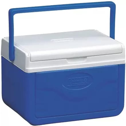 Performance 6 Koelbox - Passieve thermobox - Geschikt voor 9 uur - Compact - Stijlvol