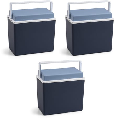 Koelbox - 3x - blauw - klein formaat - 10 liter - 30,5 cm - koelboxen