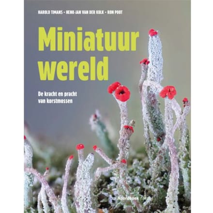 Miniatuurwereld - Henk-Jan Van der Kolk