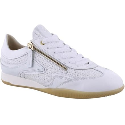 DL Sport 6571