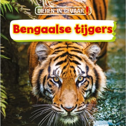 Bengaalse Tijgers - Dieren In Gevaar! - Nancy Dickmann