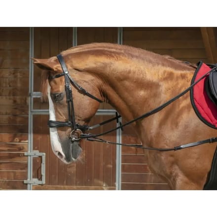 Korte elastische longeerlijn/pulley's voor paarden Norton Pro