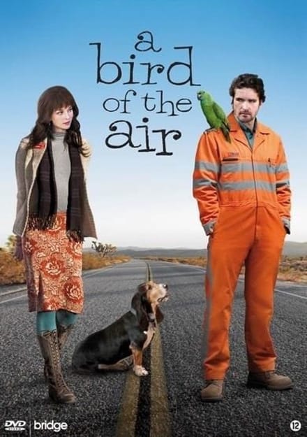 Bird Of The Air