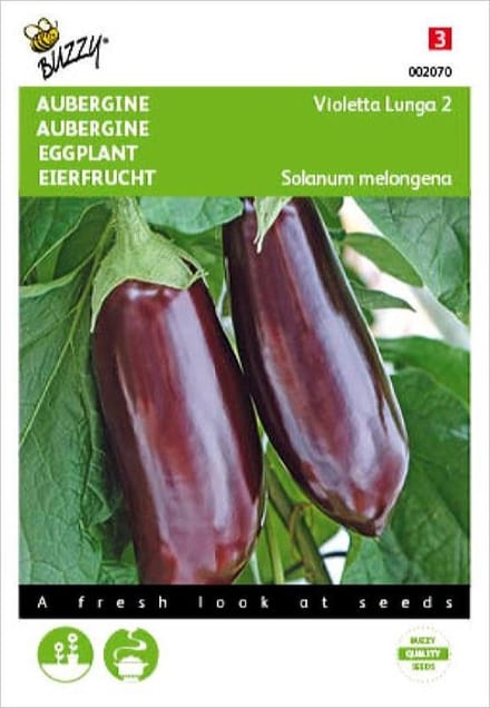 Buzzy® Aubergine Violetta Lunga 2