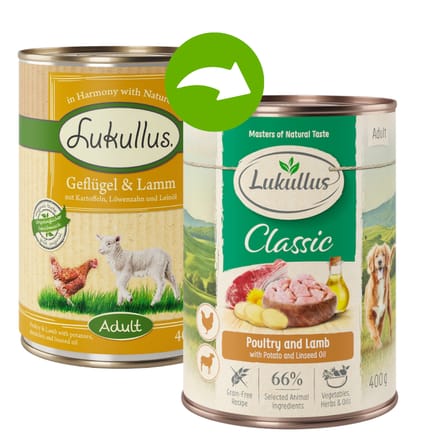 Lukullus Probeerpakket 6 x 400 g / 800 g + 12 x 5 cm Kauwbotten Hondenvoer - Wild Konijn & Kalkoen 6 x 400 g
