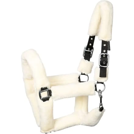 Halster voor paarden Harry's Horse Teddy