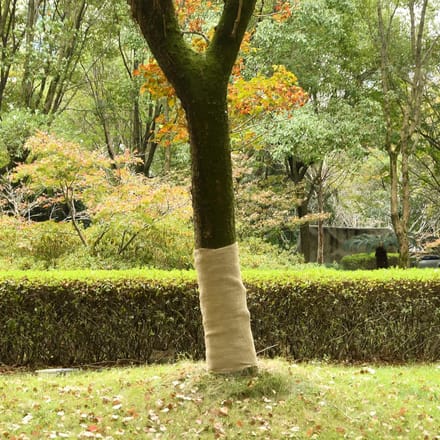 vidaXL - Juterol - 1x5 - m - 100% - Jute - 200 - g/m²