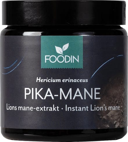 Pruikzwam Lion’s Mane Extract-Foodin