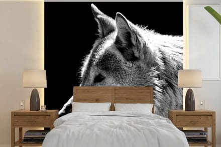 Behang - Fotobehang Wilde dieren - Wolf - Zwart - Wit - Breedte 280 cm x hoogte 280 cm