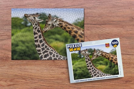 Puzzel Twee giraffen tegen een onscherpe achtergrond - Legpuzzel - Puzzel 500 stukjes