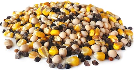 Ultimate Partikel Mix 2,5KG - Karpervissen - Partikels - Karper Aas - Karper Vissen - Karper Voer - Karper