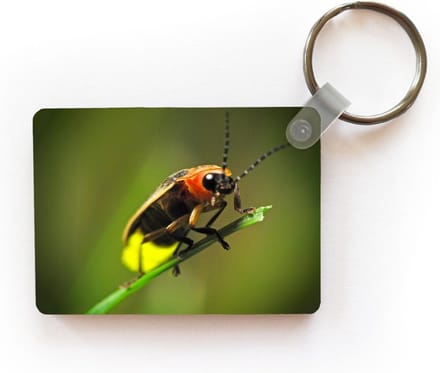 Sleutelhanger - Vuurvliegje op een grasstengel - Uitdeelcadeautjes - Plastic