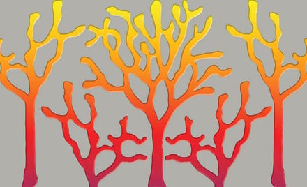 Tree Abstract Fiery Photo Wallcovering