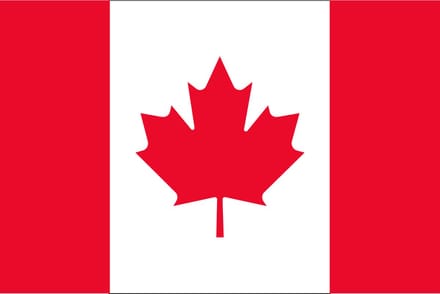 Vlag Canada 40x60cm