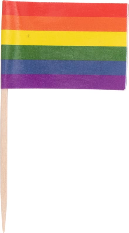Vlagprikker Rainbow (FSC) - 500 st/ds.