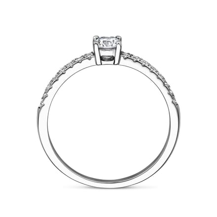 Gerhodineerd Zilver Ring Met Zirkonia 1338789