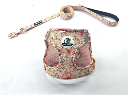 Cavlicious® AirMesh hondentuigje met leiband set - kleine hond - Canterbury - M