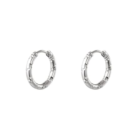 Oorbellen van roestvrij staal - Yehwang - Oorringen - One size - Zilver