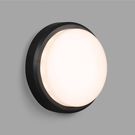 FARO BARCELONA LED buitenwandlamp Tom XL, IK10, donkergrijs/wit