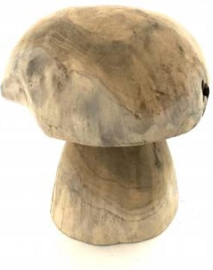 Mushroom low teak 20cm