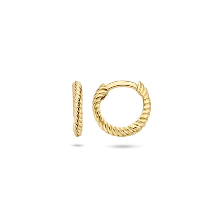 7231YGO Oorbellen oorringen 14 krt Goud