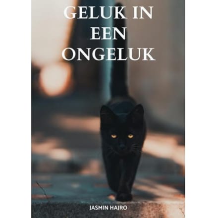 Geluk In Een Ongeluk - Jasmin Hajro
