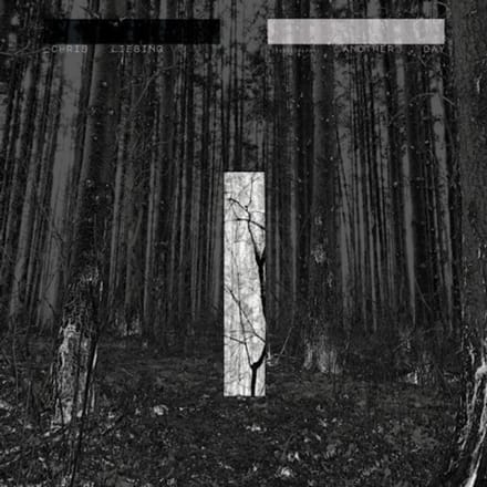 Chris Liebing - Another Day (CD)