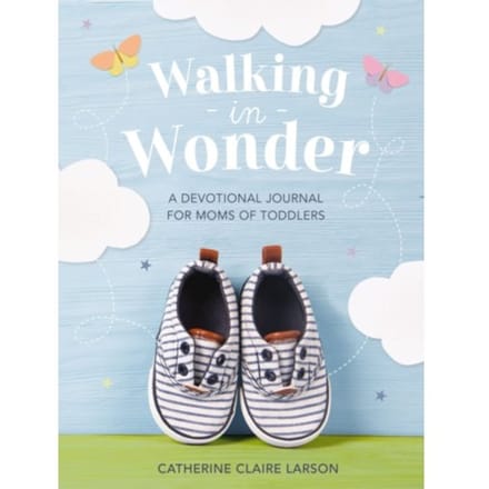 Walking In Wonder - Larson, Catherine Claire