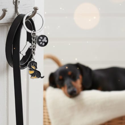 Teckel Sleutelhanger – Teckel Cadeau voor Hondenliefhebbers