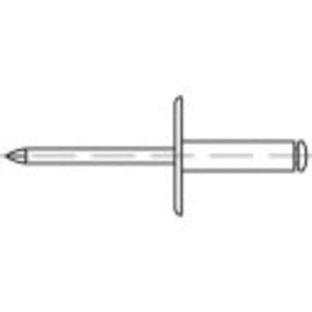 TOOLCRAFT 160171 Open popnagel (Ø x l) 4.8 mm x 20 mm Aluminium Staal 250 stuk(s)