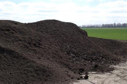 Franky's Flora - wormen grond, Bedding voor de wormenbox, wormentoren