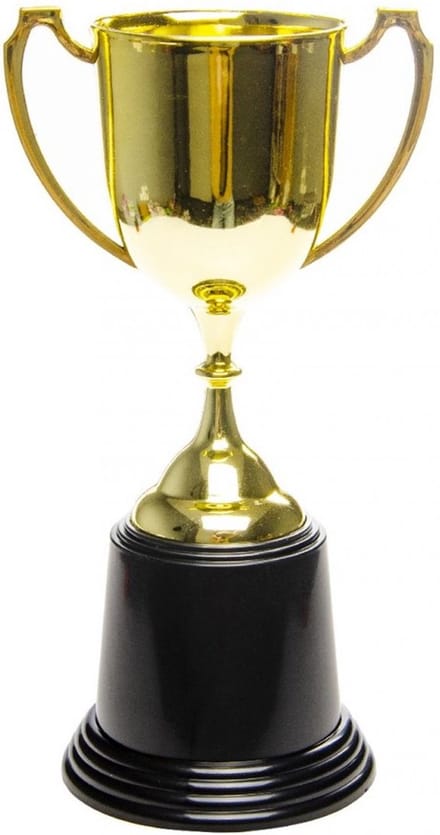 Trofee 22,8 x 9,2 cm goud - Beker Troffee Gewonnen