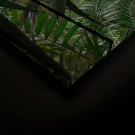 Canvas DD124916 Rainforest1 A. S. Création