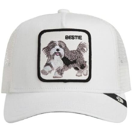 Pet Goorin Bros 201-0094 dust