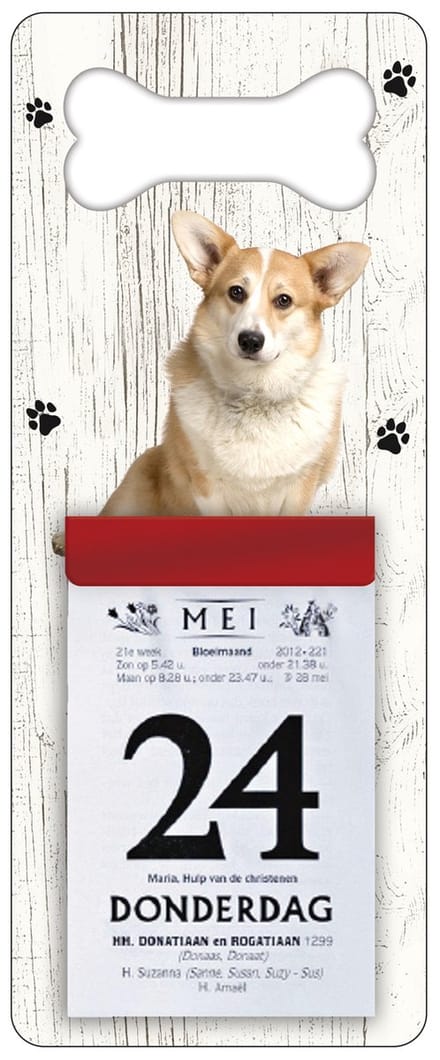Scheurkalender 2027 Hond: Welsh Corgi Pembroke