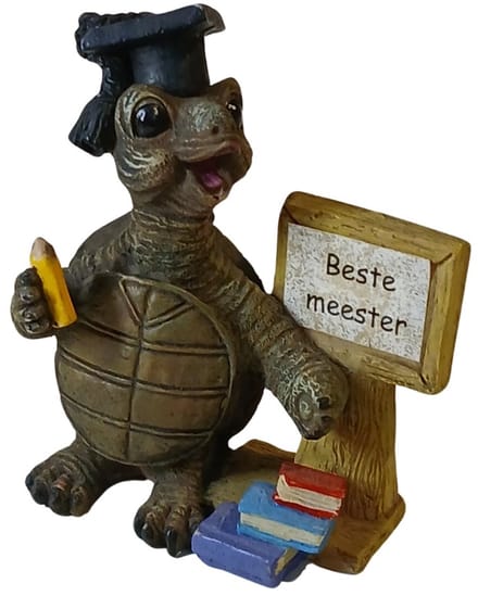 Schildpad beeldje Beste Meester
