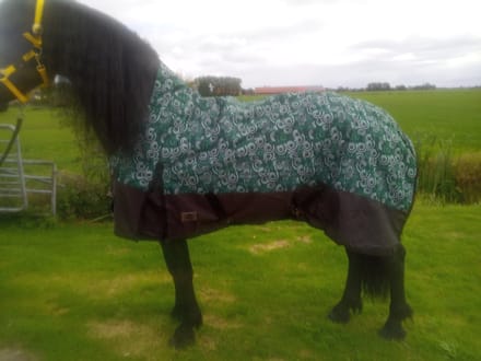 Regendeken luxe 300gram met halve hals Green/swirl buitendeken-215