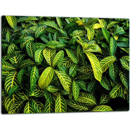 TMK ArtDeko - Snijplank - Glas 52x40cm - Groen