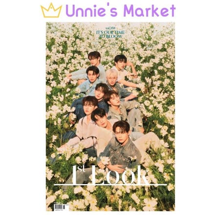 ZB1(NULBASIS) Cover 1e LOOK Koreaans tijdschrift vol.258 1EA brown