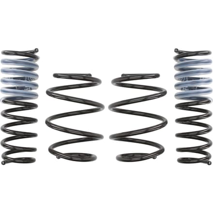 Verlagingsveer Pro Kit EIBACH E10-20-011-06-22