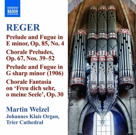 Martin Welzel - Reger: Organ Works Volume 10 (CD)