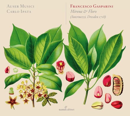 Auser Musici & Carlo Ipata - Gasparini: Mirena & Floro (Intermezzi Dresden 1718) (CD)