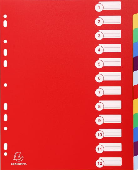 Exacompta 15x Tabbladen in stevige Ondoorzichtige PP - 12 tabs - A4 maxi - Geassorteerd - 4812E